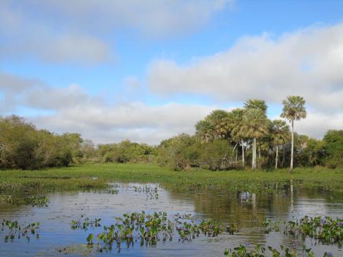 Ibera Pora in Colonia Carlos Pellegrini