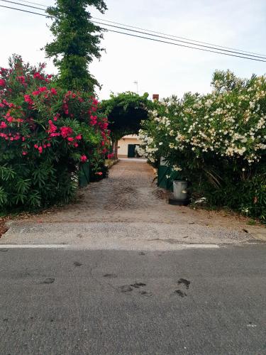 Accommodation in Pedrógão Grande