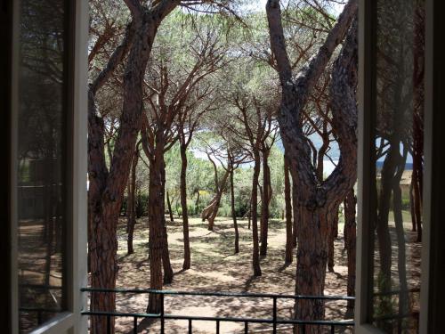 Hotel Villa Nettuno – Campo nell'Elba, SD