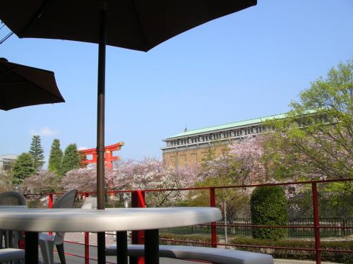 京都遊客旅館