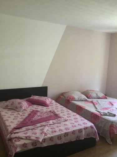 Casa Moldovan