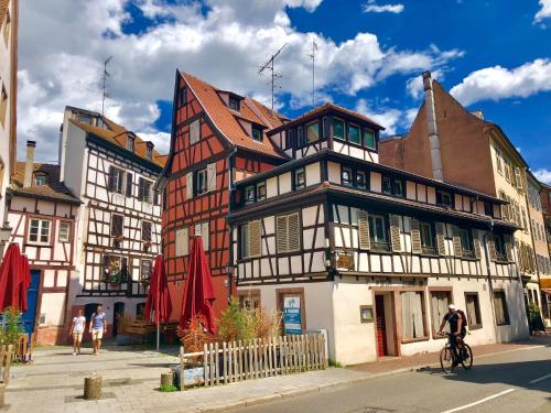 Cosy & quiet flat in historical lively center of Strasbourg, Štrasburk (fotografie 7)