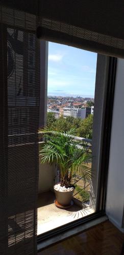 Trindade Apartment, Porto (fotografie 4)