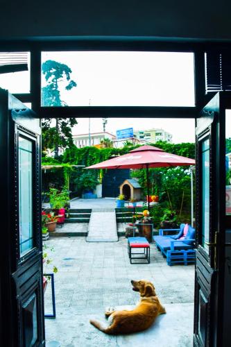 บริการและสิ่งอำนวยความสะดวก, Hostel Durres in เดอร์เรส