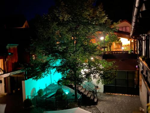 Hotel-Restaurant Zur Traube in 阿爾特納爾