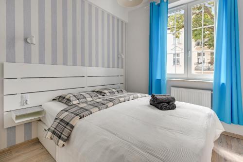 One-Bedroom Apartment image 2
