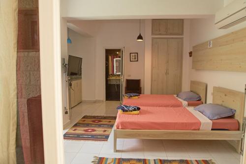 Solaris, Dahab (fotografie 8)