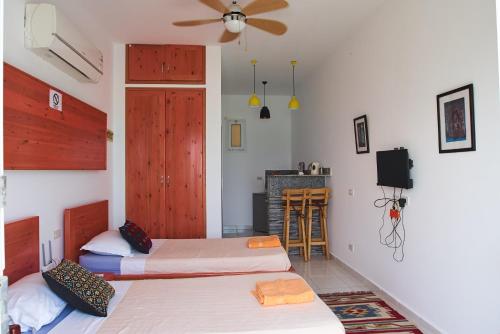 Solaris, Dahab (fotografie 6)