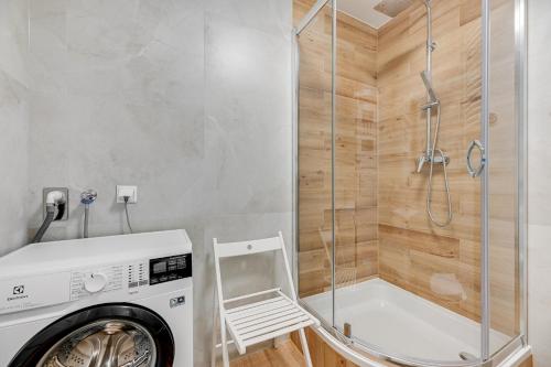 One-Bedroom Apartment image 4
