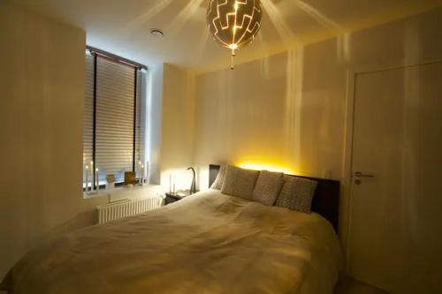 Cozy and silent ground floor apartment, Kopenhaga (zdjęcie 4)