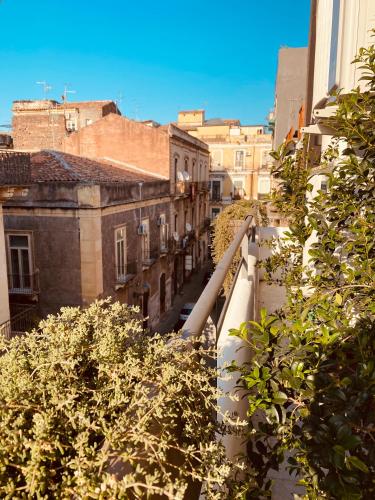 B&B Stramondo - image 10