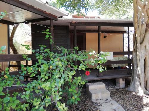 Camping La Roccia - image 9