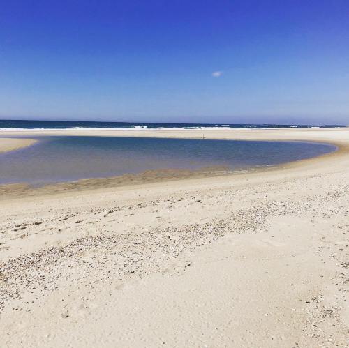 Desertas Beach and Sport - image 7
