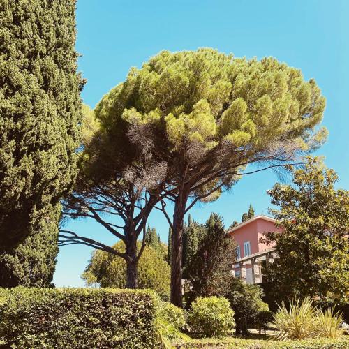 Vila Tartini – Strunjan, MO
