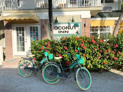 Coconut Inn Pass-a-Grille Beach - 스포츠&체험활동