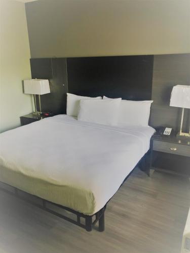 SureStay Hotel by BW Conway - image 4