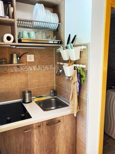Dren Chalet Lux - Banjska stena - image 3