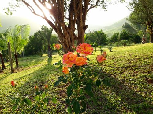 Casa/sitio na serra em Bom Jardim - RJ