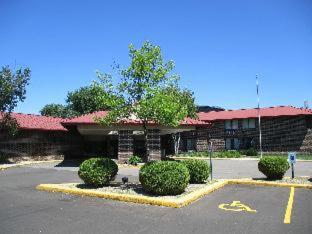 Best Western Rochester Hotel Mayo Clinic Area/ St. Mary's