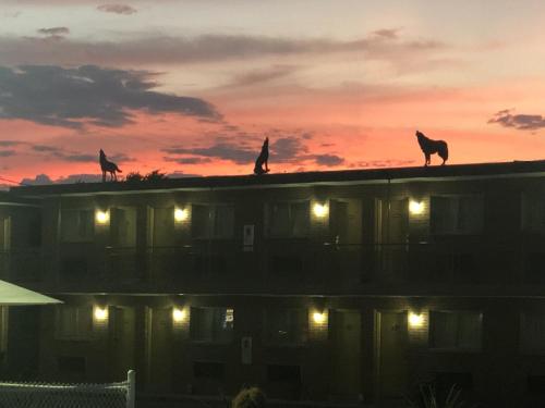 Wolf Inn Hotel in Sandusky, USA