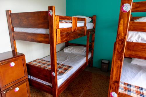 Mixed Dormitory Room image 5