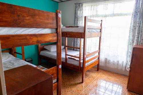 Hostel Bouganvilia Bed and Breakfast - image 5