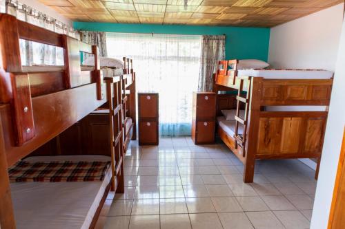 6-Bed Mixed Dormitory Room image 7