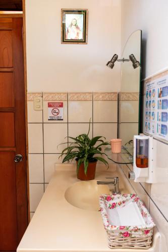 Mixed Dormitory Room image 2