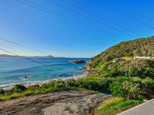 Briesta in Seal Rocks