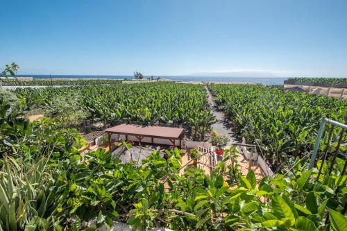 Casa Cardón - Villa Perenquén