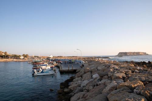 West End Hotel, Peyia (foto 7)