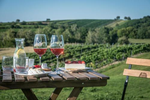 Boutique Hotel Vinařství Škrobák - image 11