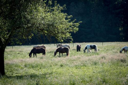 Hotel Bremerhof - image 12
