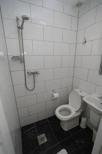 Holland Inn Hotel - image 12