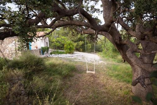 Finca Les Coves