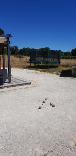 Chalet avec baignade biologique