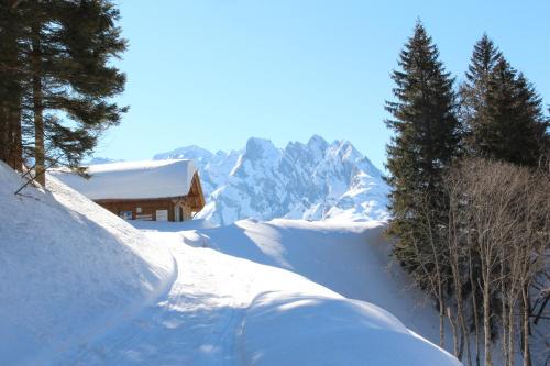 A környék, Hotel-Restaurant Alpina in Innertkirchen