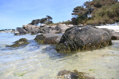 Entre Terre et Mer