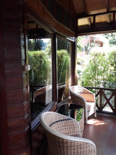 Junia Guesthouse Bukit Lawang Room Type - Deluxe Bungalow