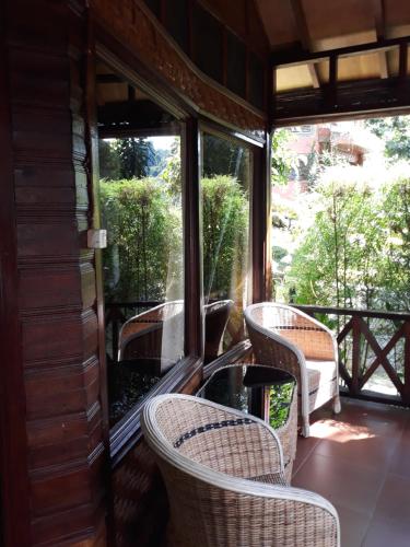 Junia Guesthouse Bukit Lawang