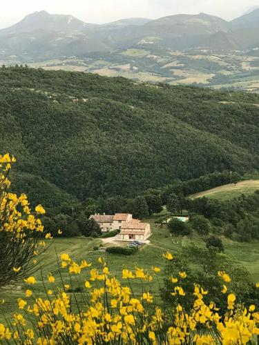  Agriturismo Vellaneta, Pension in Cagli bei Serra SantʼAbbondio
