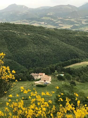  Agriturismo Vellaneta, Pension in Cagli bei Colombara