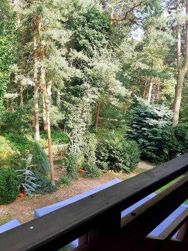 Domki apartamenty Nasza Chata - 4 minuty od plaży - image 5
