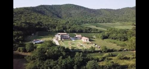 Babaneuris Marani