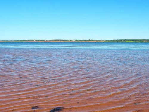 Tracadie Cottages