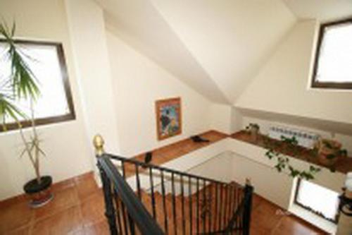 El Pradón - image 4