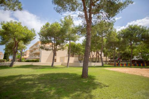 HM Mar Blau - image 11