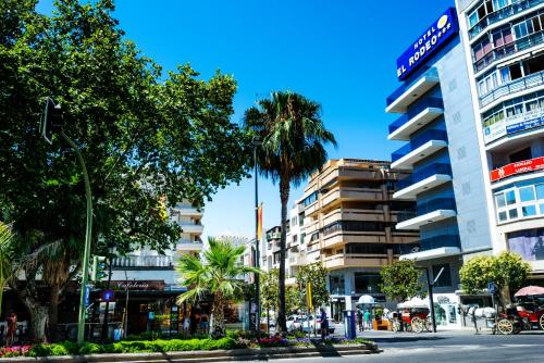 Hotel Monarque El Rodeo - image 6