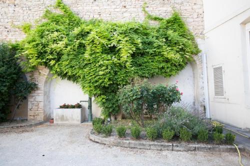 L'Aubertine - image 8