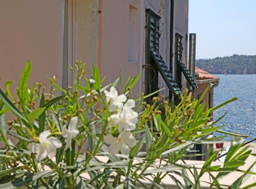 Swan City Apartment & Room Sibenik